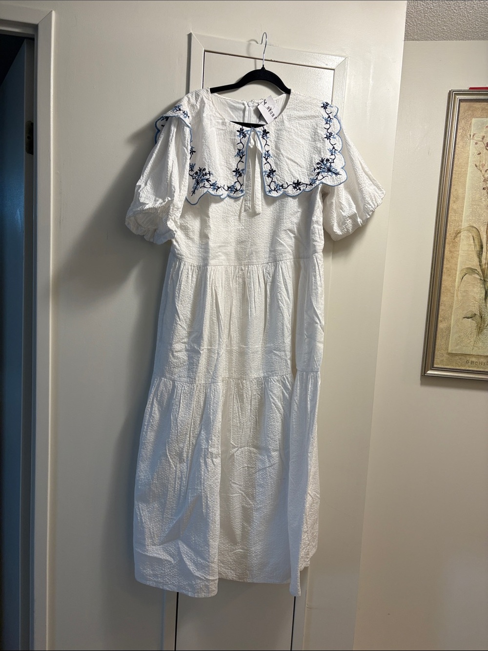 Neon Rose Embroidered White Cotton Dress with Peter Pan Collar